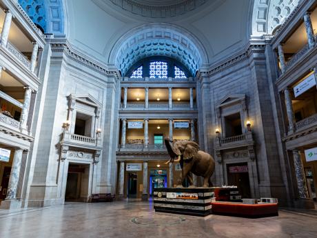 National Museum of Natural history's rotunda entrance