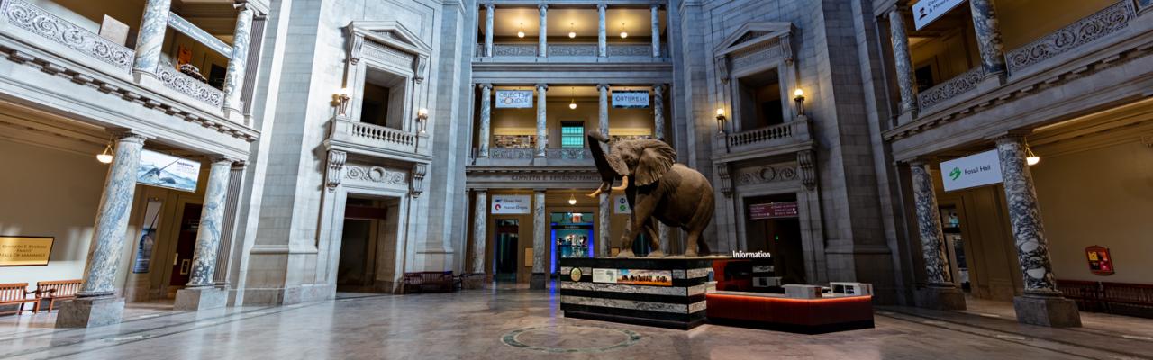 National Museum of Natural history's rotunda entrance